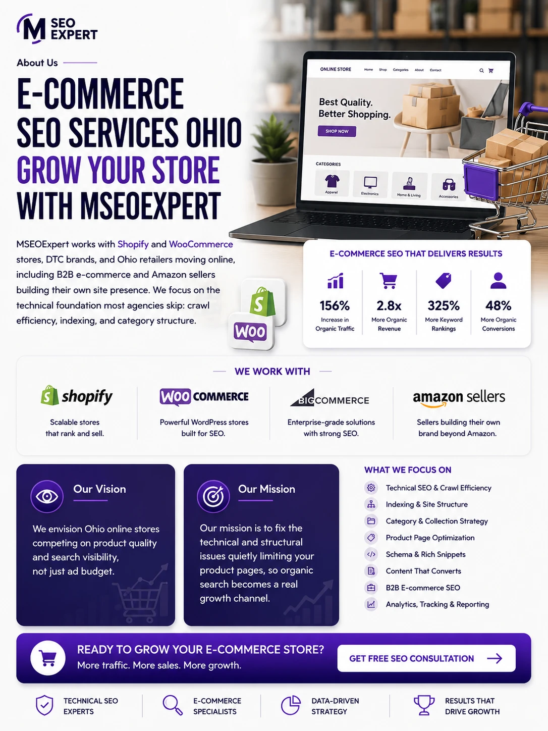 E-Commerce SEO Services Ohio