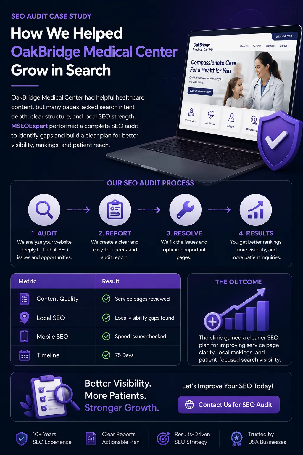 Professional SEO Audit Services